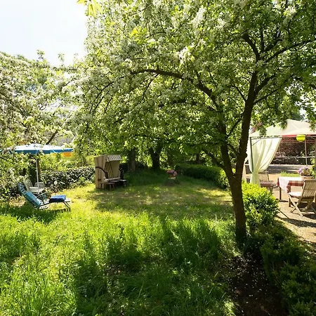 Loft In Alter Schule 아파트 *