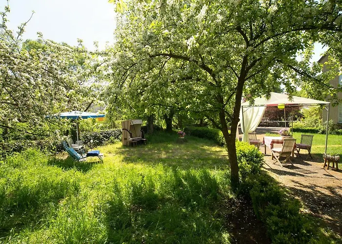 Loft In Alter Schule Appartement *